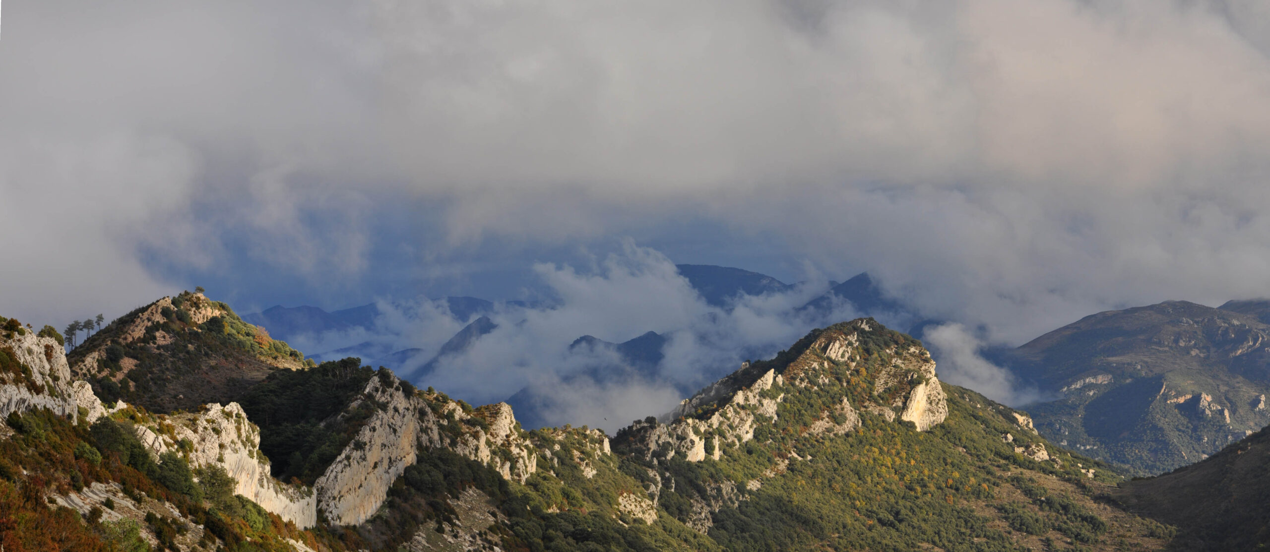 Pano RaboseraE1