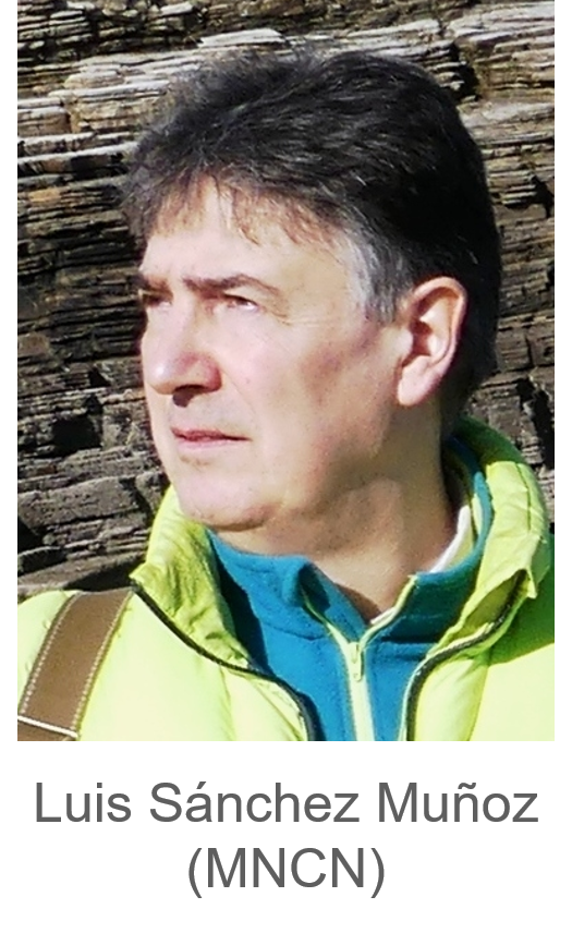 CT6 Luis Sánchez Muñoz